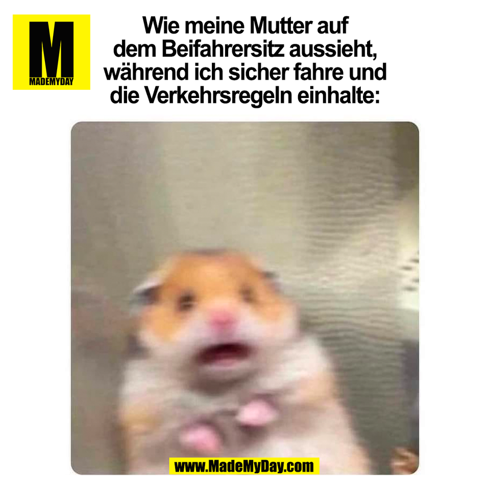Wie meine Mutter auf<br />
dem Beifahrersitz aussieht,<br />
während ich sicher fahre und<br />
die Verkehrsregeln einhalte:<br />
(BILD)