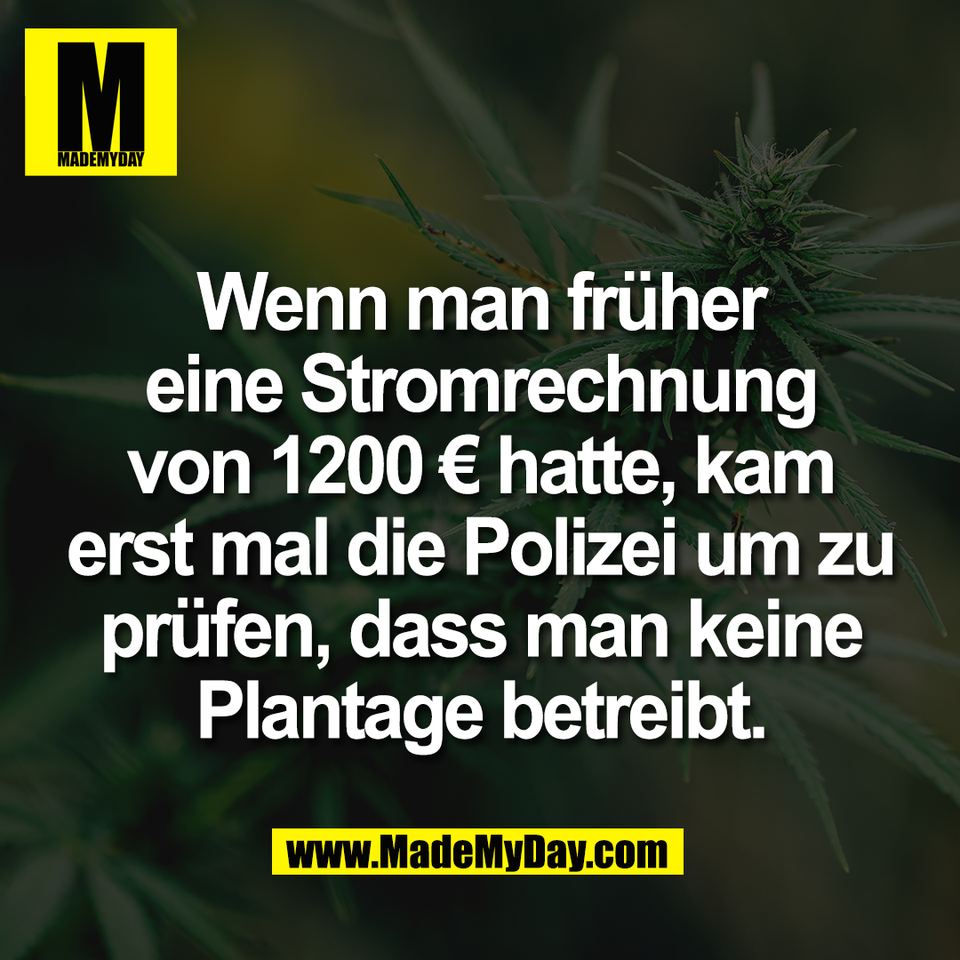 Wenn man früher<br />
eine Stromrechnung<br />
von 1200 € hatte, kam<br />
erst mal die Polizei um zu<br />
prüfen, dass man keine<br />
Plantage betreibt.