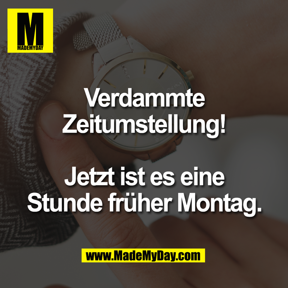 Jetzt schon richtig Bock ... ?