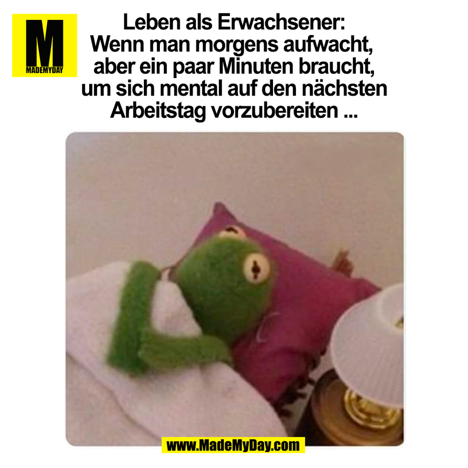 Leben als Erwachsener:<br />
Wenn man morgens aufwacht, <br />
aber ein paar Minuten braucht,<br />
um sich mental auf den nächsten<br />
Arbeitstag vorzubereiten ...