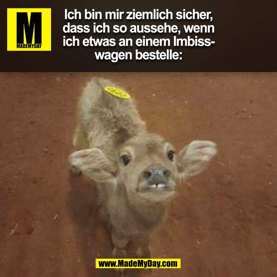 Ich bin mir ziemlich sicher,<br />
dass ich so aussehe, wenn<br />
ich etwas an einem Imbiss-<br />
wagen bestelle:<br />
(BILD)