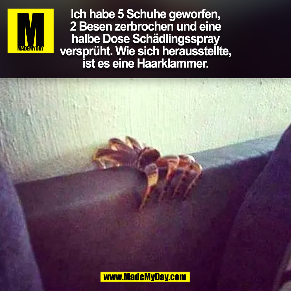 Ich habe 5 Schuhe geworfen,<br />
2 Besen zerbrochen und eine<br />
halbe Dose Schädlingsspray<br />
versprüht. Wie sich herausstellte,<br />
ist es eine Haarklammer.<br />
(BILD)