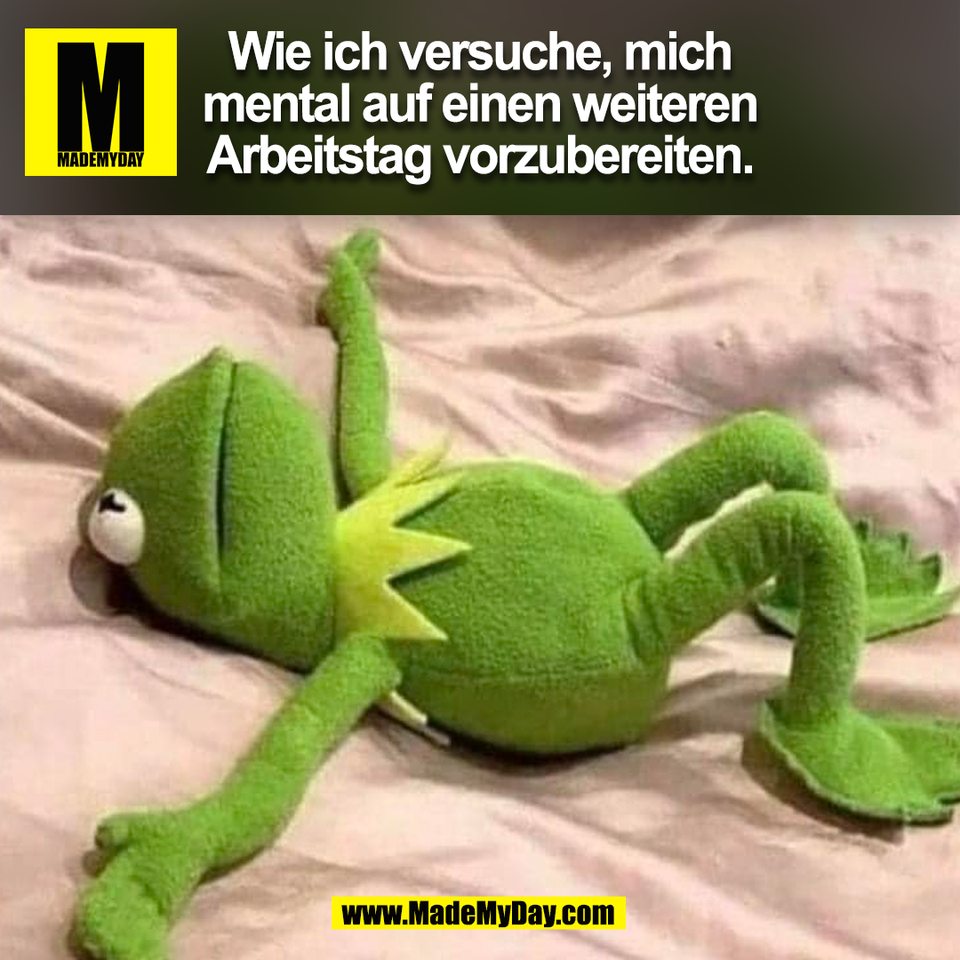 Wie ich versuche, mich<br />
mental auf einen weiteren<br />
Arbeitstag vorzubereiten.<br />
(BILD)
