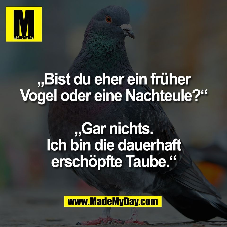 „Bist du eher ein früher<br />
Vogel oder eine Nachteule?“<br />
<br />
„Gar nichts.<br />
Ich bin die dauerhaft<br />
erschöpfte Taube.“