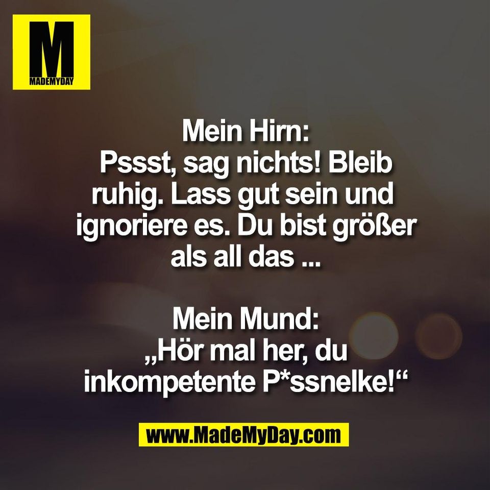 Mein Hirn:<br />
Pssst, sag nichts! Bleib<br />
ruhig. Lass gut sein und <br />
ignoriere es. Du bist größer<br />
als all das ...<br />
<br />
Mein Mund:<br />
„Hör mal her, du<br />
inkompetente P*ssnelke!“