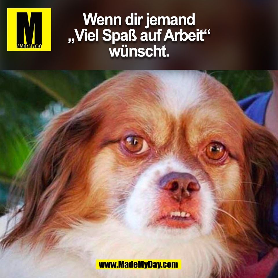 Wenn dir jemand<br />
„Viel Spaß auf Arbeit“<br />
wünscht.<br />
(BILD)<br />

