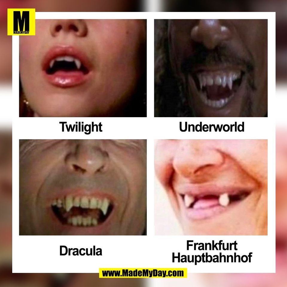 Twilight<br />
Underworld<br />
Dracula<br />
Frankfurt<br />
Hauptbahnhof<br />
(BILD)