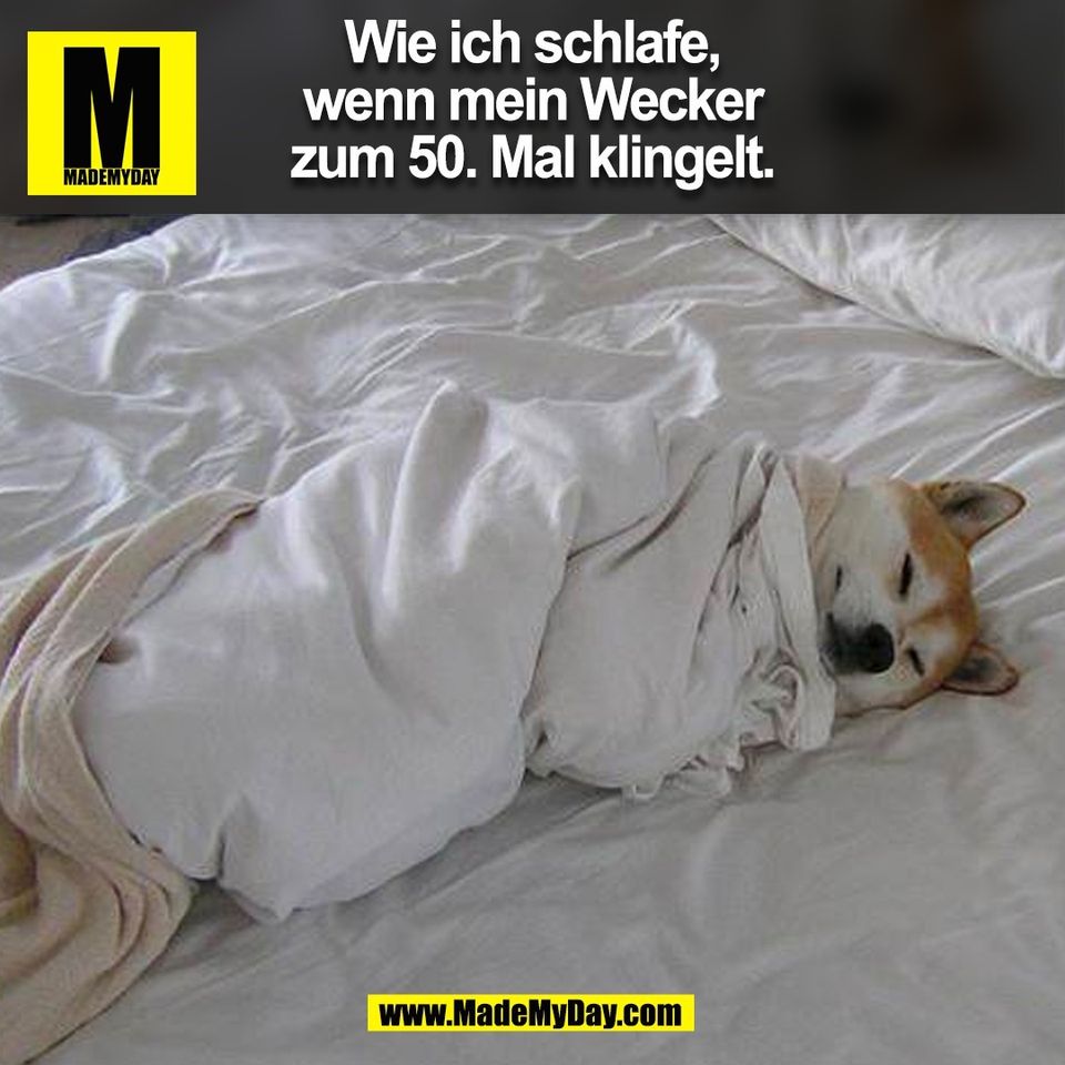 Wie ich schlafe,<br />
wenn mein Wecker<br />
zum 50. Mal klingelt.<br />
(BILD)