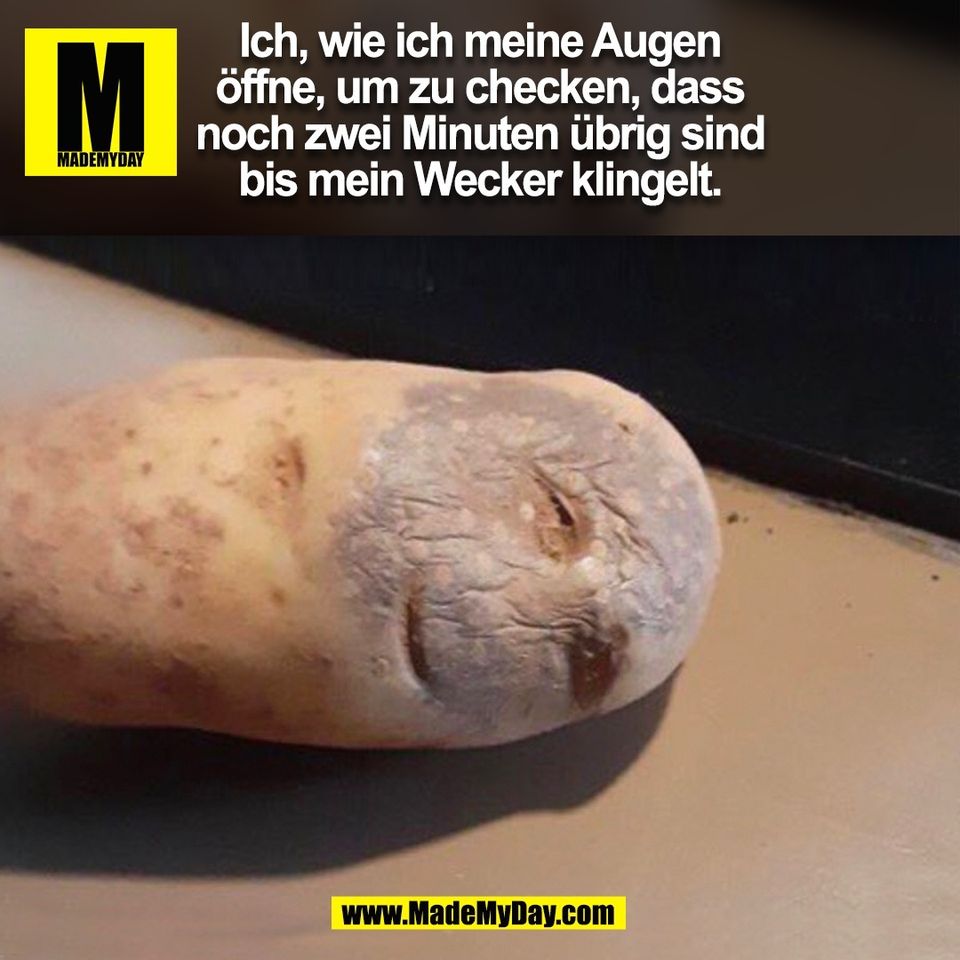 Ich, wie ich meine Augen<br />
öffne, um zu checken, dass<br />
noch zwei Minuten übrig sind<br />
bis mein Wecker klingelt.<br />
(BILD)