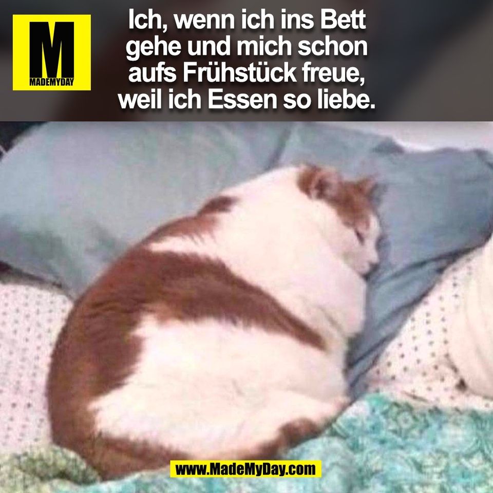 Ich, wenn ich ins Bett <br />
gehe und mich schon <br />
aufs Frühstück freue, <br />
weil ich Essen so liebe.<br />
(BILD)