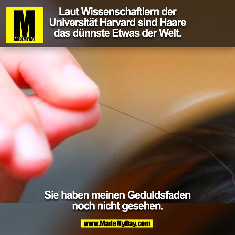 Laut Wissenschaftlern der<br />
Universität Harvard sind Haare<br />
das dünnste Etwas der Welt.<br />
<br />
Sie haben meinen Geduldsfaden<br />
noch nicht gesehen.<br />
(BILD)