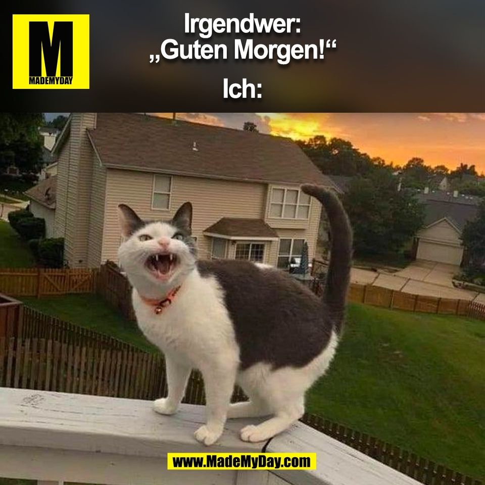 Irgendwer:<br />
„Guten Morgen!“<br />
<br />
Ich:<br />
(BILD)