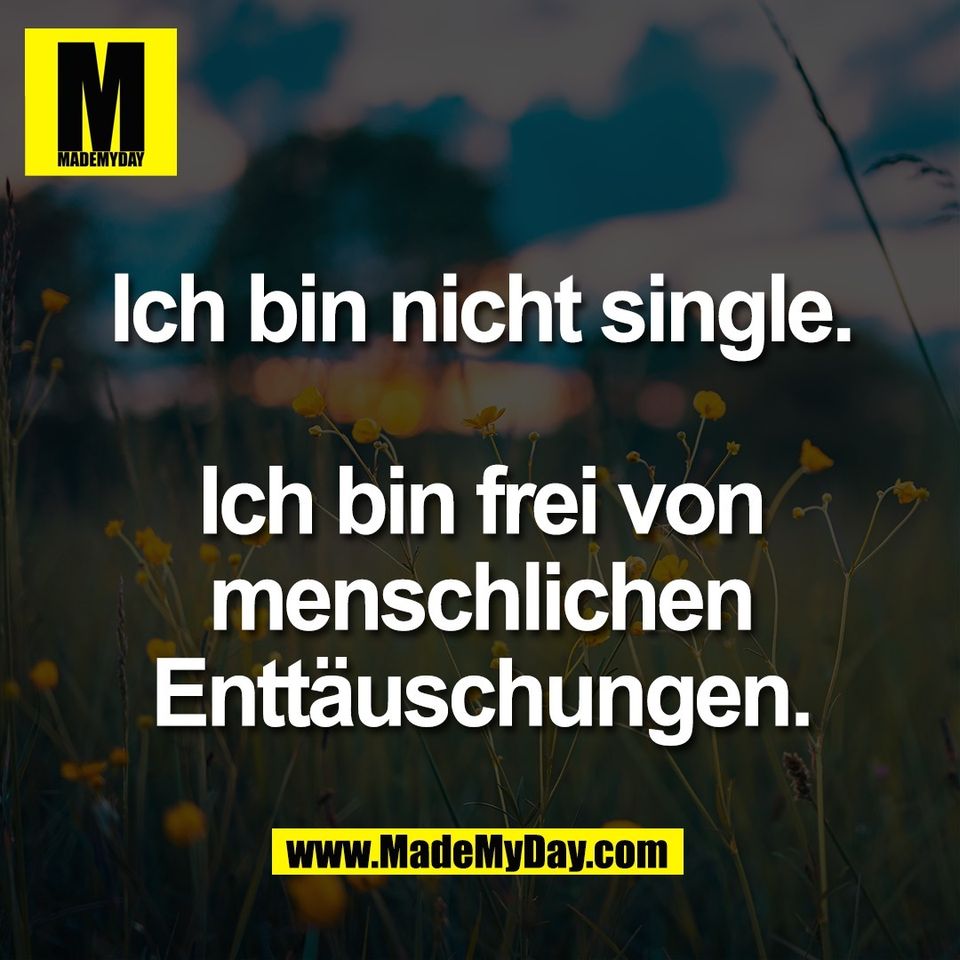 Ich bin nicht single.<br />
<br />
Ich bin frei von<br />
menschlichen<br />
Enttäuschungen.