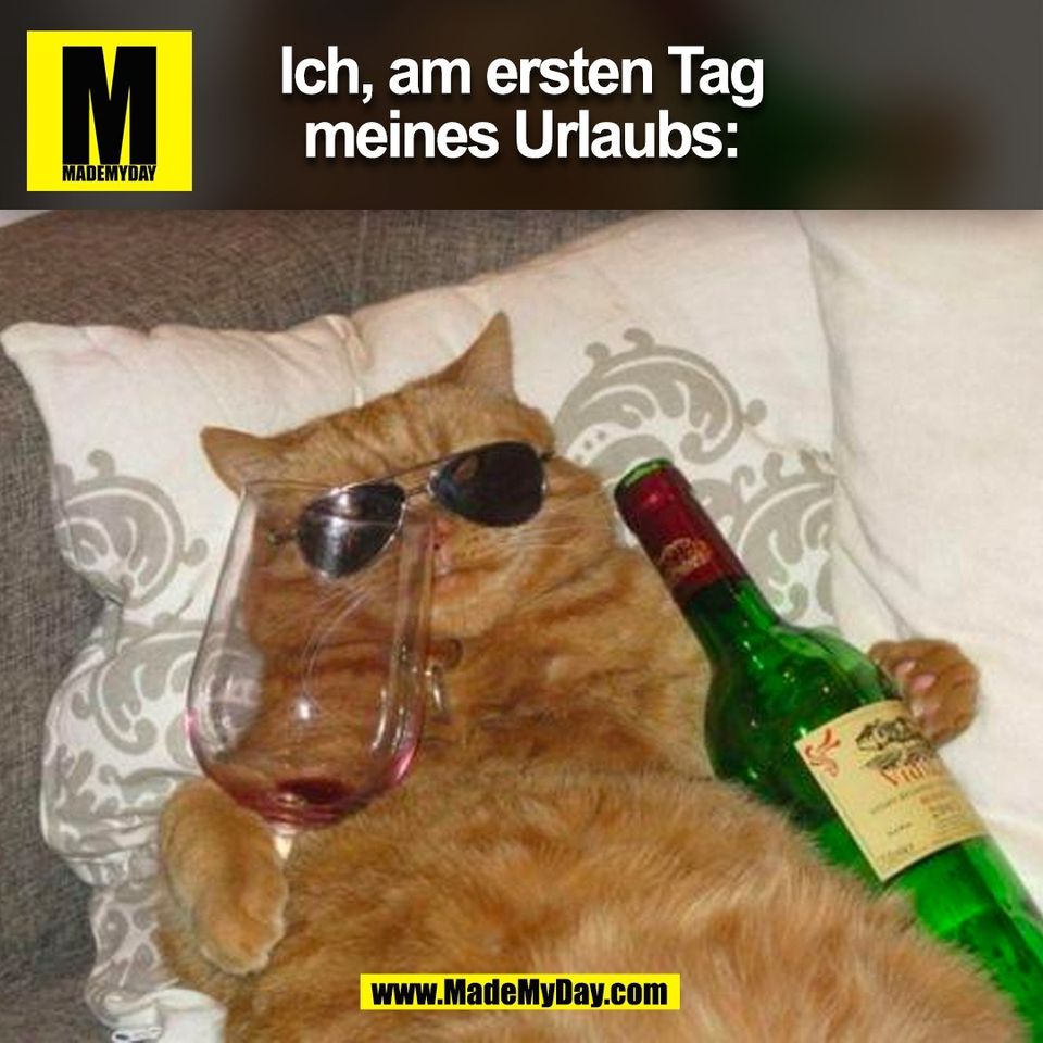 Ich, am ersten Tag<br />
meines Urlaubs:<br />
(BILD)