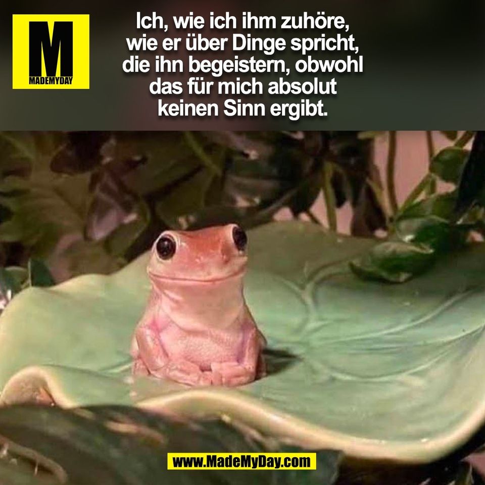 Ich, wie ich ihm zuhöre,<br />
wie er über Dinge spricht,<br />
die ihn begeistern, obwohl<br />
das für mich absolut<br />
keinen Sinn ergibt.<br />
(BILD)