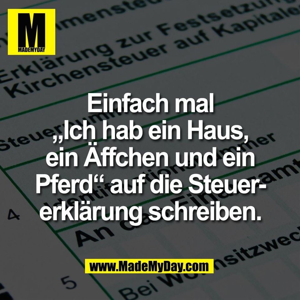 Einfach mal<br />
„Ich hab ein Haus,<br />
ein Äffchen und ein<br />
Pferd“ auf die Steuer-<br />
erklärung schreiben.