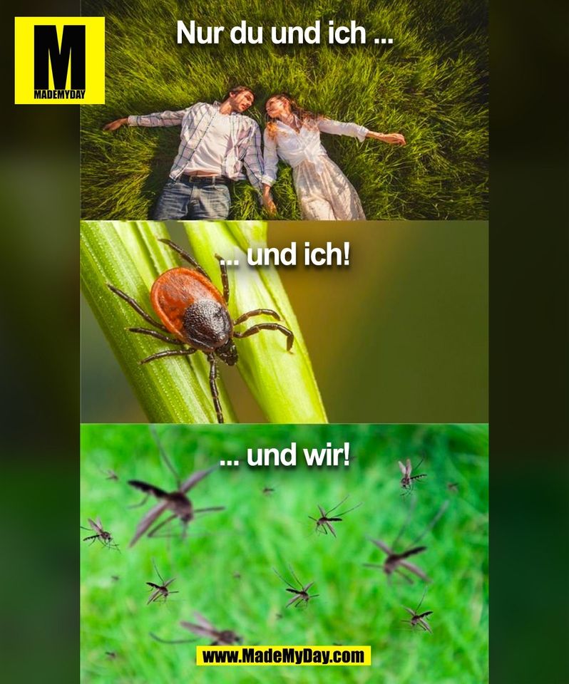 Nur du und ich ...<br />
... und ich!<br />
... und wir! <br />
(BILD)