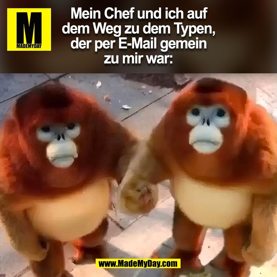 Mein Chef und ich auf<br />
dem Weg zu dem Typen,<br />
der per E-Mail gemein<br />
zu mir war:<br />
(BILD)