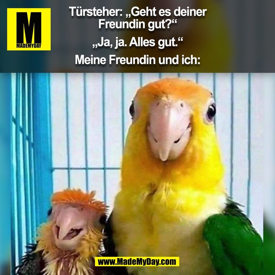 Türsteher: „Geht es deiner<br />
Freundin gut?“<br />
<br />
„Ja, ja. Alles gut.“<br />
<br />
Meine Freundin und ich:<br />
(BILD)