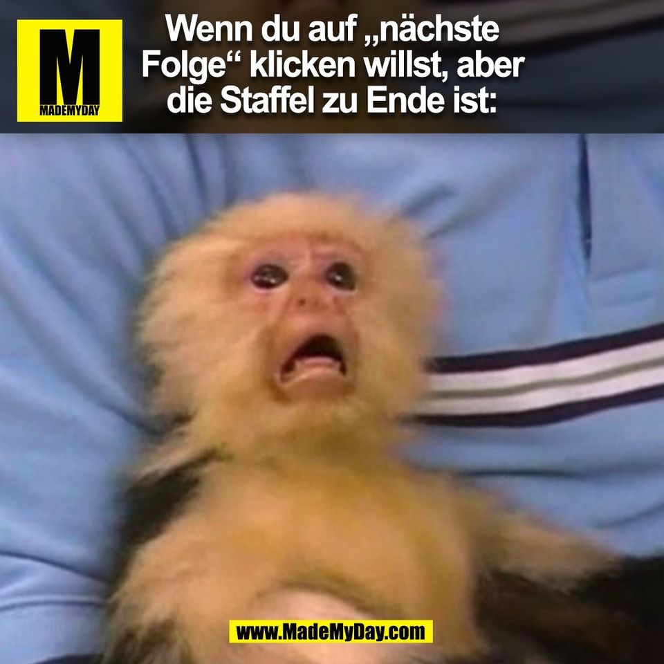 Wenn du auf „nächste<br />
Folge“ klicken willst, aber<br />
die Staffel zu Ende ist:<br />
(BILD)