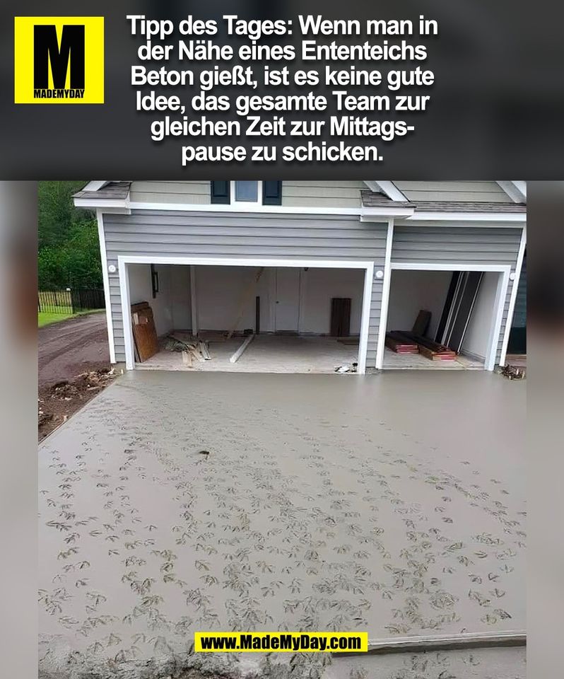Tipp des Tages: Wenn man in<br />
der Nähe eines Ententeichs<br />
Beton gießt, ist es keine gute<br />
Idee, das gesamte Team zur<br />
gleichen Zeit zur Mittags-<br />
pause zu schicken.<br />
(BILD)