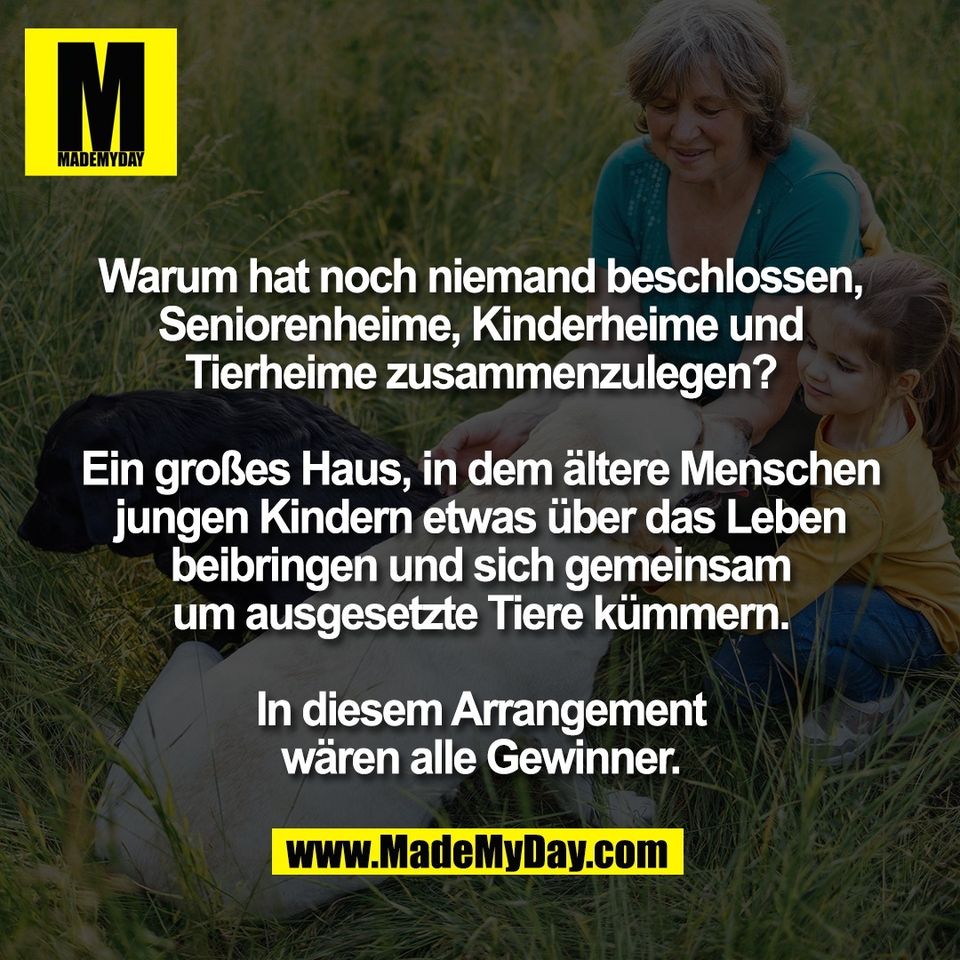 Warum hat noch niemand beschlossen,<br />
Seniorenheime, Kinderheime und<br />
Tierheime zusammenzulegen?<br />
<br />
Ein großes Haus, in dem ältere Menschen<br />
jungen Kindern etwas über das Leben<br />
beibringen und sich gemeinsam<br />
um ausgesetzte Tiere kümmern.<br />
<br />
In diesem Arrangement<br />
wären alle Gewinner.
