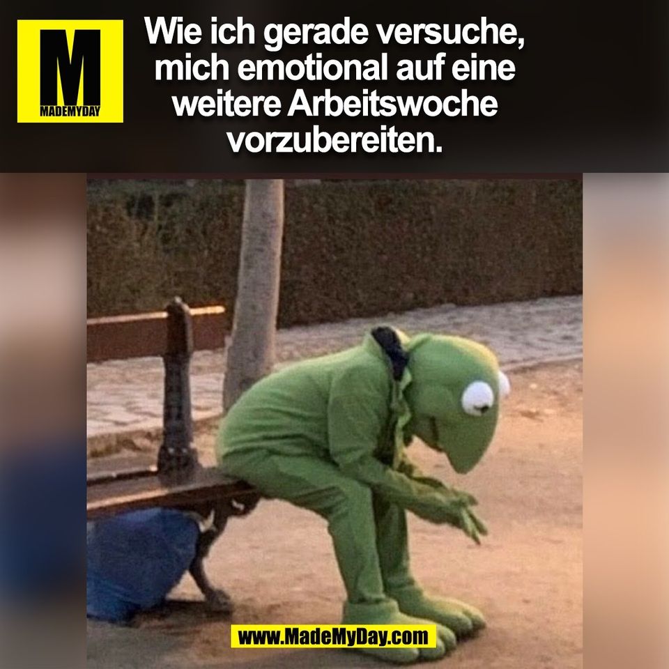Wie ich gerade versuche,<br />
mich emotional auf eine<br />
weitere Arbeitswoche<br />
vorzubereiten.<br />
(BILD)