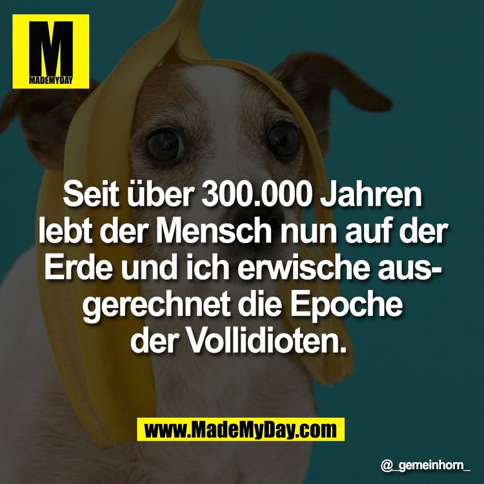 Seit über 300.000 Jahren<br />
lebt der Mensch nun auf der<br />
Erde und ich erwische aus-<br />
gerechnet die Epoche<br />
der Vollidioten.