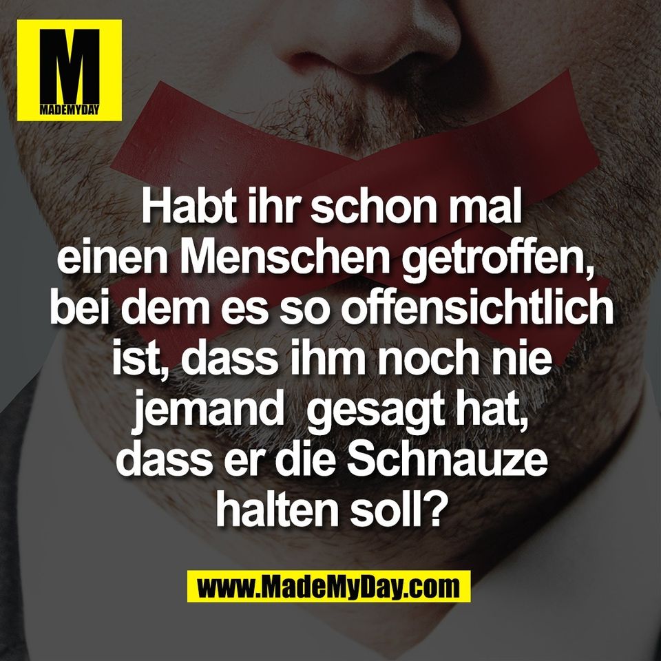 Habt ihr schon mal<br />
einen Menschen getroffen, <br />
bei dem es so offensichtlich<br />
ist, dass ihm noch nie<br />
jemand  gesagt hat,<br />
dass er die Schnauze<br />
halten soll?