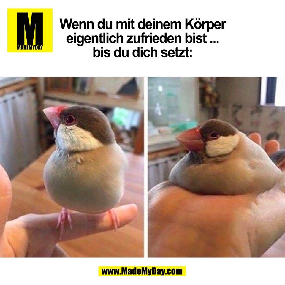 Wenn du mit deinem Körper<br />
eigentlich zufrieden bist ...<br />
bis du dich setzt:<br />
(BILD)