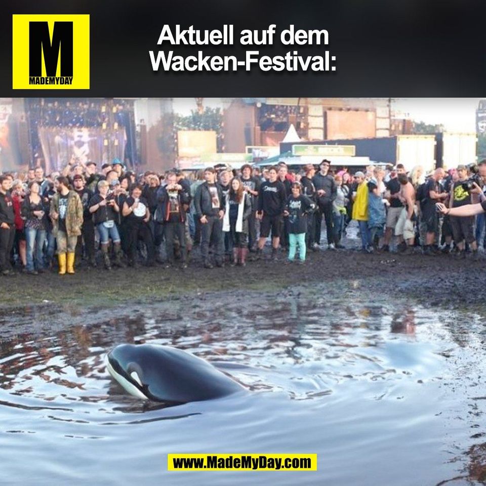 Aktuell auf dem<br />
Wacken-Festival:<br />
(BILD)
