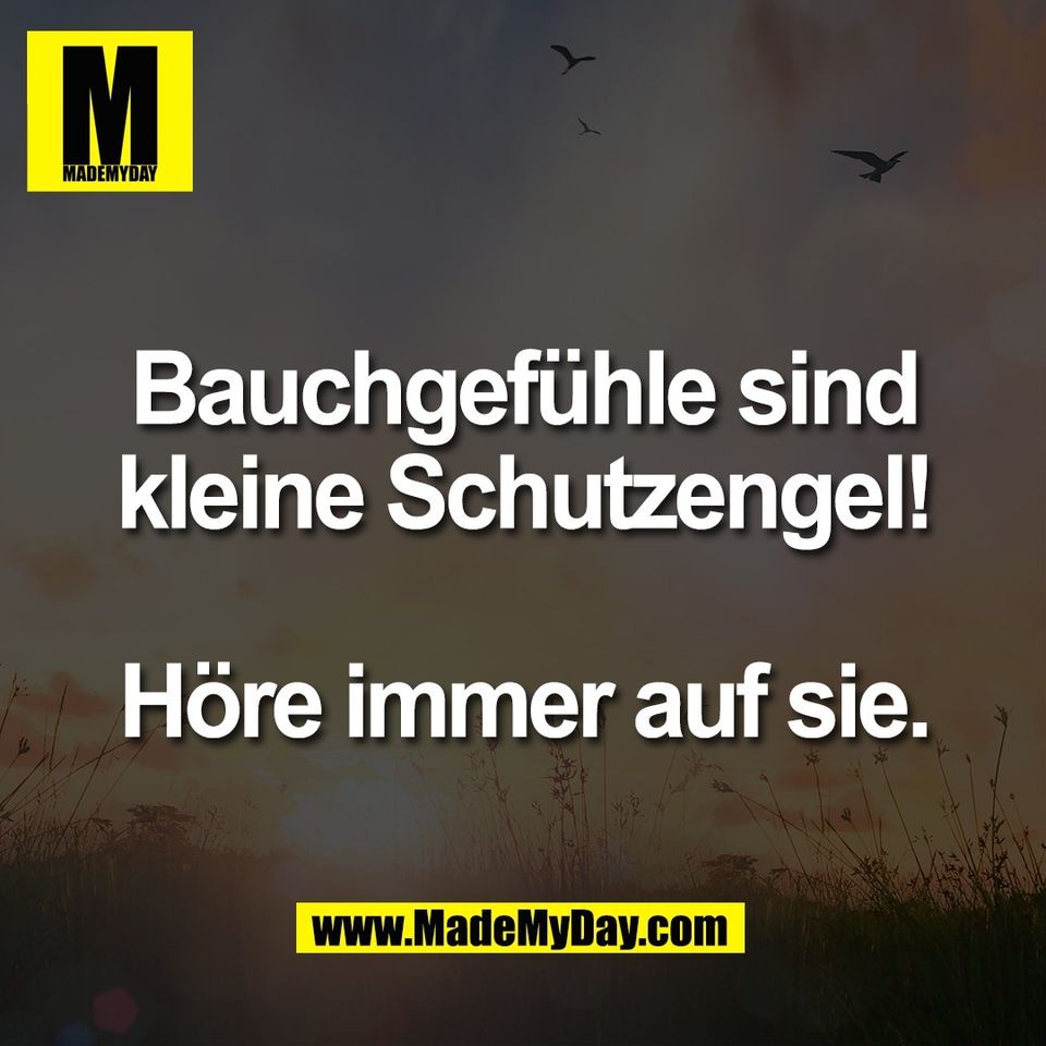 Bauchgefühle sind<br />
kleine Schutzengel!<br />
<br />
Höre immer auf sie.