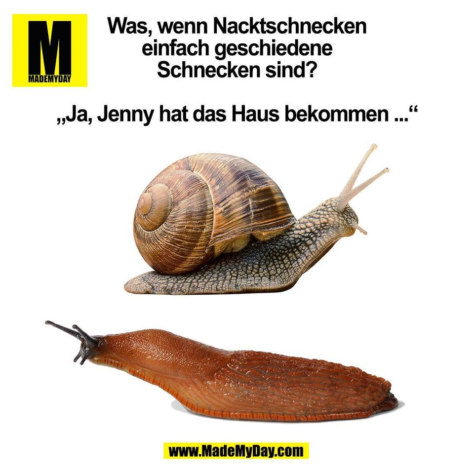Was, wenn Nacktschnecken<br />
einfach geschiedene<br />
Schnecken sind?<br />
<br />
„Ja, Jenny hat das Haus bekommen ...“<br />
(BILD)