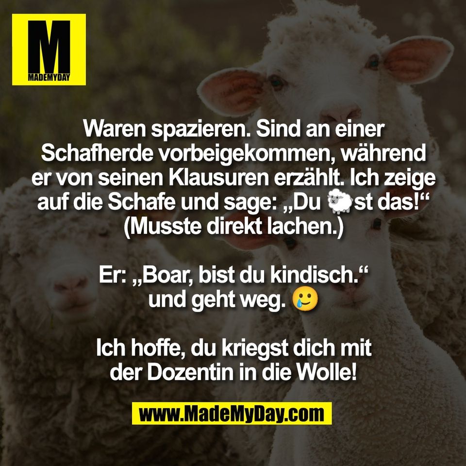 Waren spazieren. Sind an einer<br />
Schafherde vorbeigekommen, während<br />
er von seinen Klausuren erzählt. Ich zeige<br />
auf die Schafe und sage: „Du 🐑st das!“<br />
(Musste direkt lachen.)<br />
<br />
Er: „Boar, bist du kindisch.“<br />
und geht weg. 🥲<br />
<br />
Ich hoffe, du kriegst dich mit<br />
der Dozentin in die Wolle!
