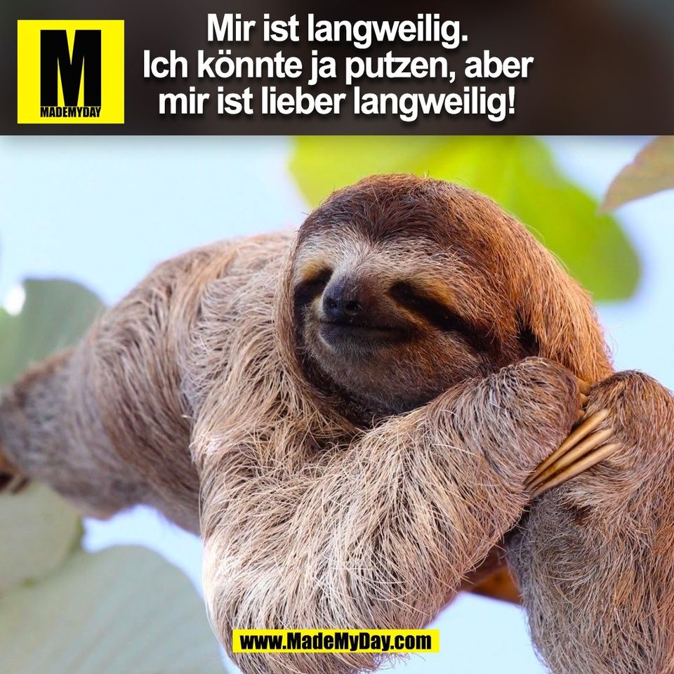 Mir ist langweilig.<br />
Ich könnte ja putzen, aber<br />
mir ist lieber langweilig!<br />
(BILD)