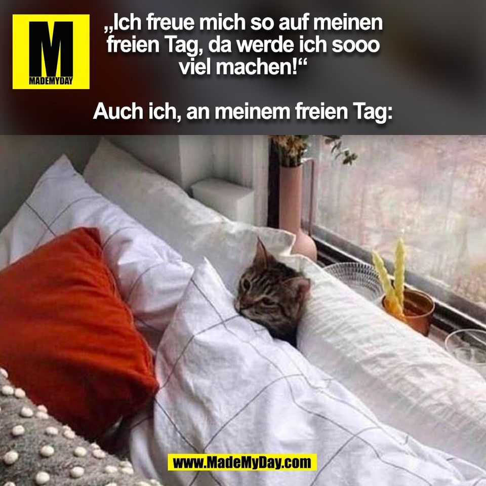 „Ich freue mich so auf meinen<br />
freien Tag, da werde ich sooo<br />
viel machen!“<br />
<br />
Auch ich, an meinem freien Tag:<br />
(BILD)