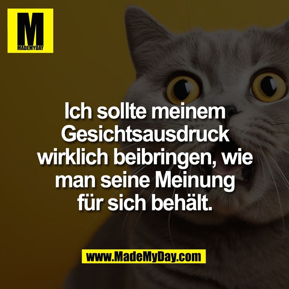 Ich sollte meinem<br />
Gesichtsausdruck<br />
wirklich beibringen, wie<br />
man seine Meinung<br />
für sich behält.