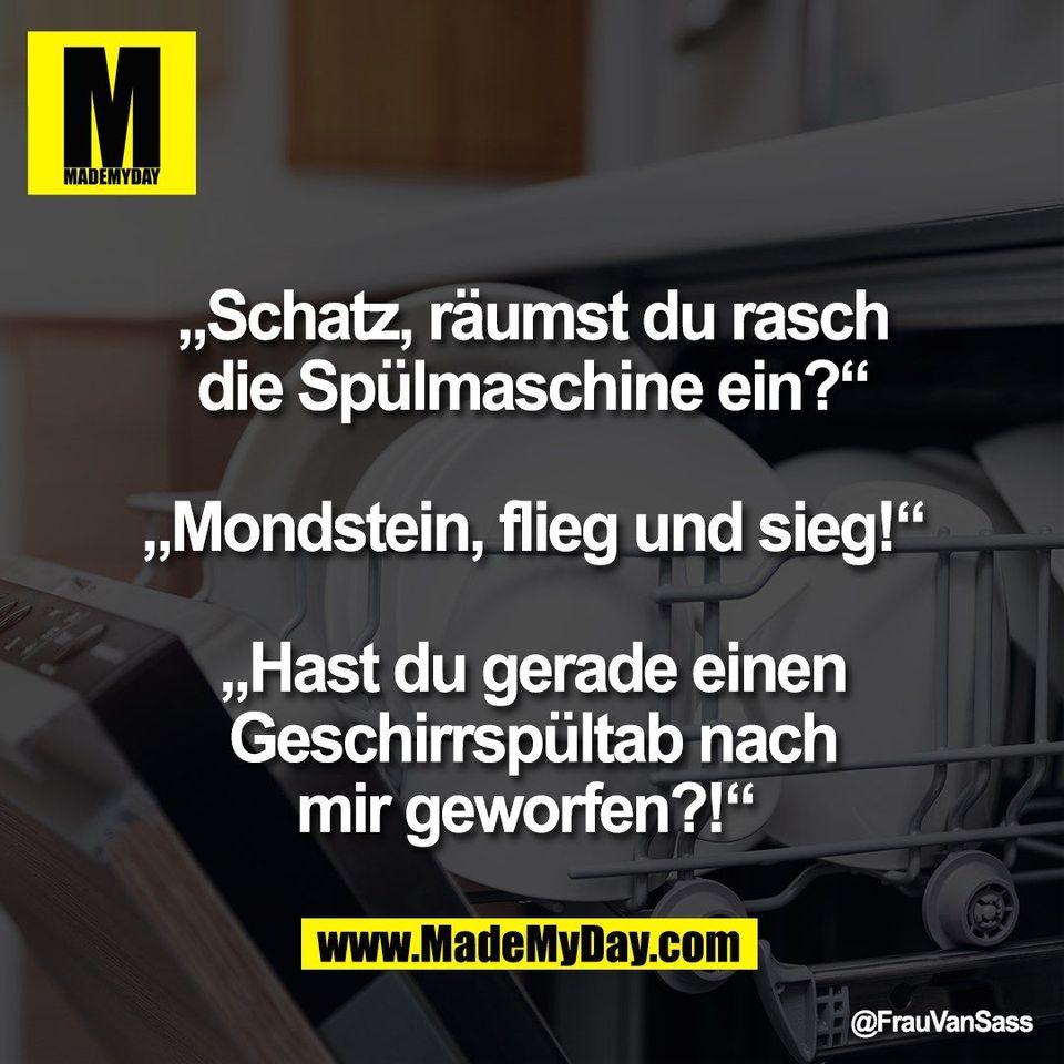 „Schatz, räumst du rasch<br />
die Spülmaschine ein?“<br />
<br />
„Mondstein, flieg und sieg!“<br />
<br />
„Hast du gerade einen<br />
Geschirrspültab nach<br />
mir geworfen?!“
