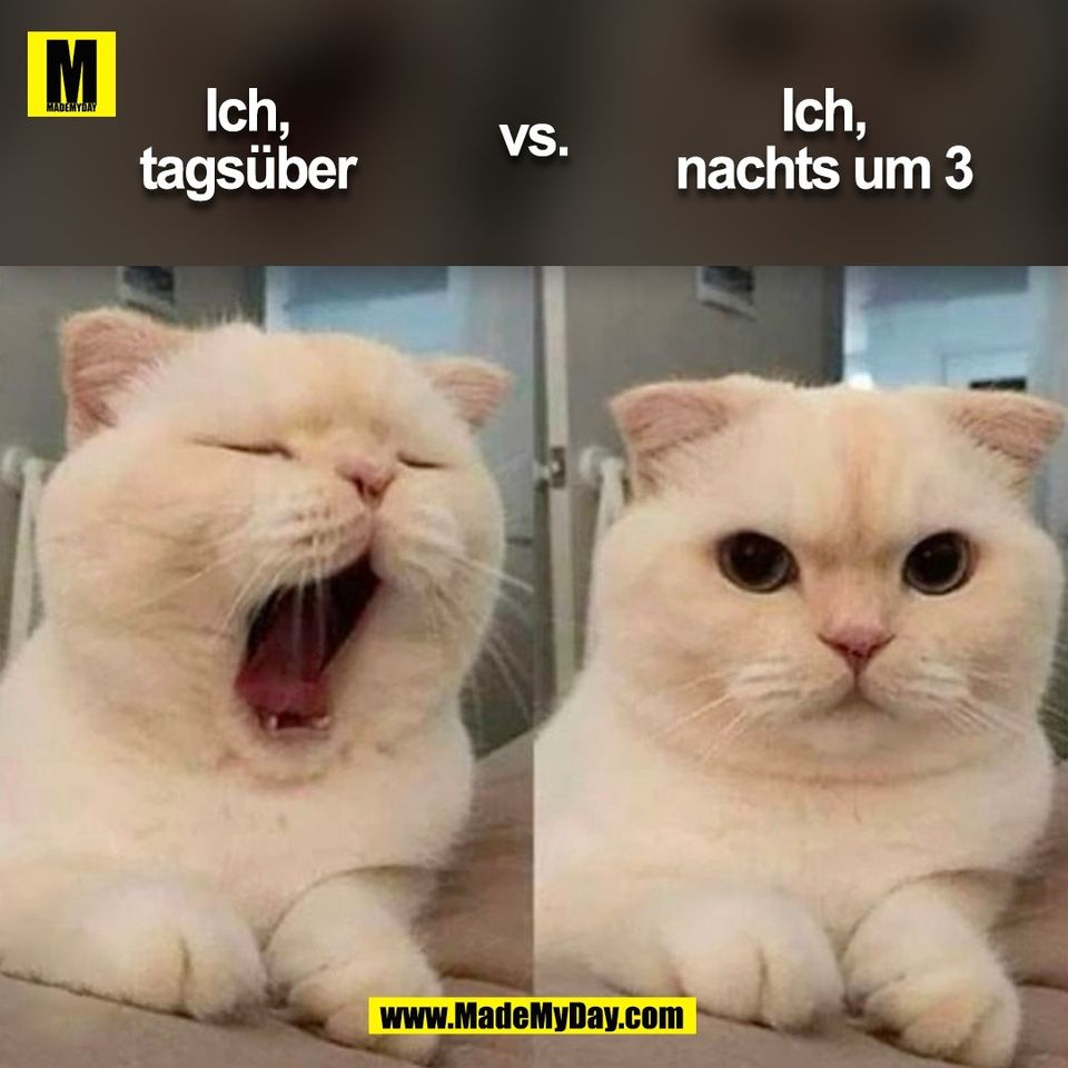 Ich, tagsüber vs. Ich, nachts um 3 <br />
(BILD)