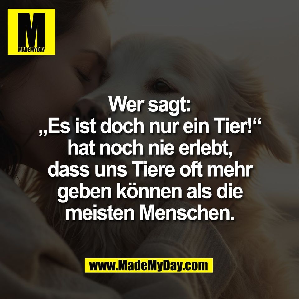Wer sagt:<br />
„Es ist doch nur ein Tier!“<br />
hat noch nie erlebt,<br />
dass uns Tiere oft mehr<br />
geben können als die<br />
meisten Menschen.