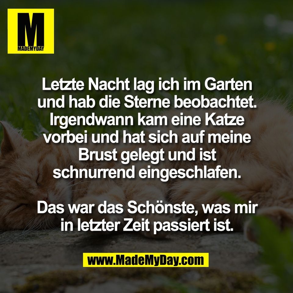 Letzte Nacht lag ich im Garten<br />
und hab die Sterne beobachtet.<br />
Irgendwann kam eine Katze<br />
vorbei und hat sich auf meine<br />
Brust gelegt und ist<br />
schnurrend eingeschlafen.<br />
<br />
Das war das Schönste, was mir<br />
in letzter Zeit passiert ist.