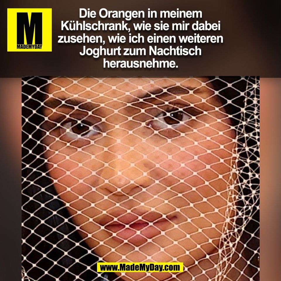 Die Orangen in meinem<br />
Kühlschrank, wie sie mir dabei<br />
zusehen, wie ich einen weiteren<br />
Joghurt zum Nachtisch<br />
herausnehme.<br />
(BILD)