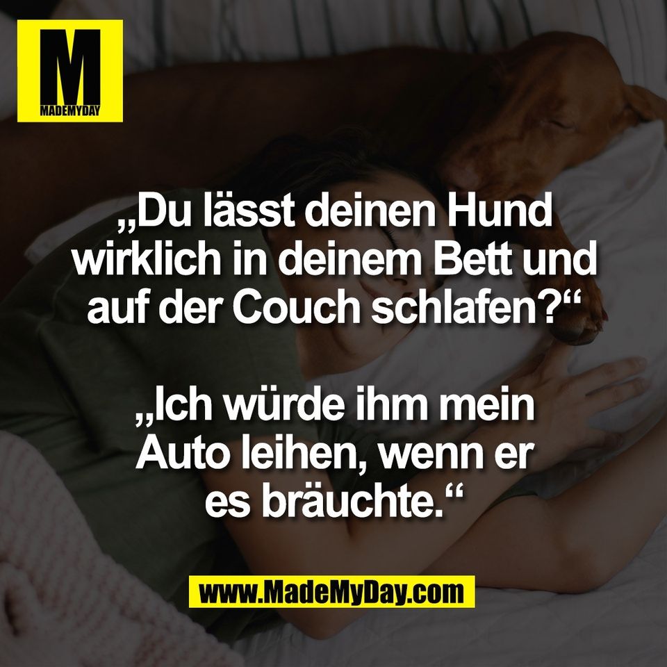 „Du lässt deinen Hund<br />
wirklich in deinem Bett und<br />
auf der Couch schlafen?“<br />
<br />
„Ich würde ihm mein<br />
Auto leihen, wenn er<br />
es bräuchte.“