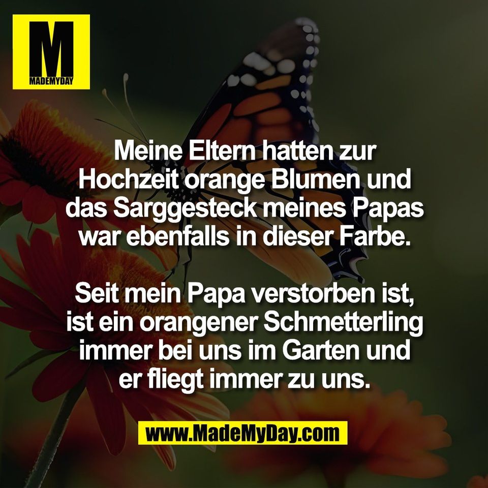 Meine Eltern hatten zur<br />
Hochzeit orange Blumen und<br />
das Sarggesteck meines Papas<br />
war ebenfalls in dieser Farbe.<br />
<br />
Seit mein Papa verstorben ist,<br />
ist ein orangener Schmetterling<br />
immer bei uns im Garten und<br />
er fliegt immer zu uns.