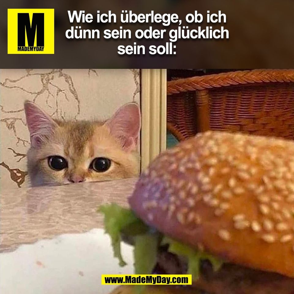 Wie ich überlege, ob ich<br />
dünn sein oder glücklich<br />
sein soll:<br />
(BILD)