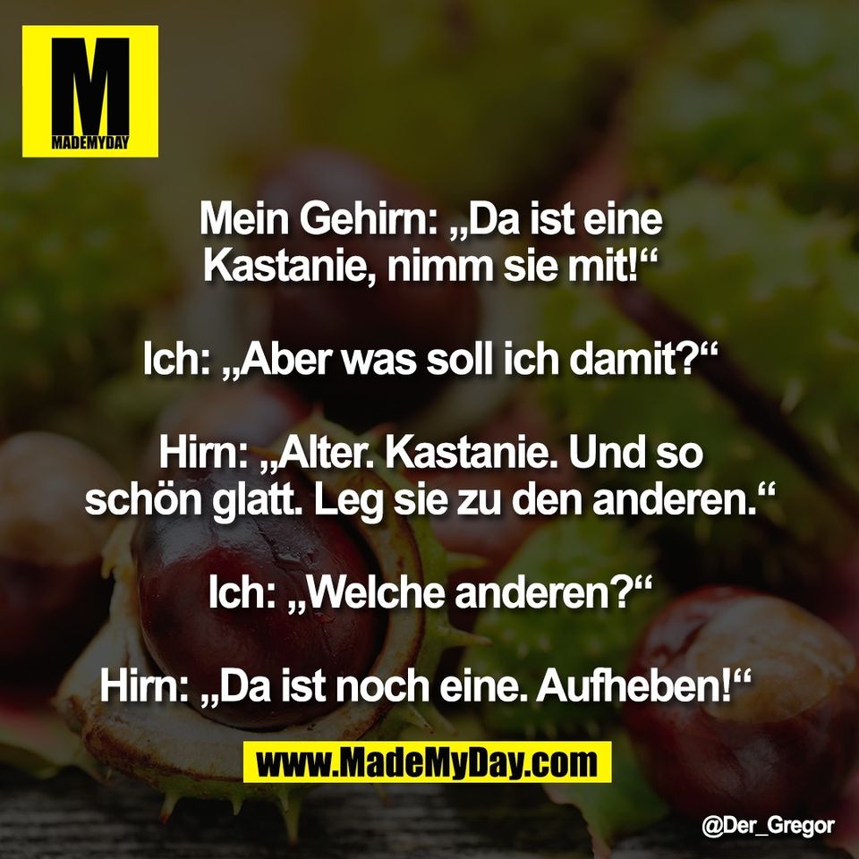 Mein Gehirn: „Da ist eine<br />
Kastanie, nimm sie mit!“<br />
<br />
Ich: „Aber was soll ich damit?“<br />
<br />
Hirn: „Alter. Kastanie. Und so<br />
schön glatt. Leg sie zu den anderen.“<br />
<br />
Ich: „Welche anderen?“<br />
<br />
Hirn: „Da ist noch eine. Aufheben!“