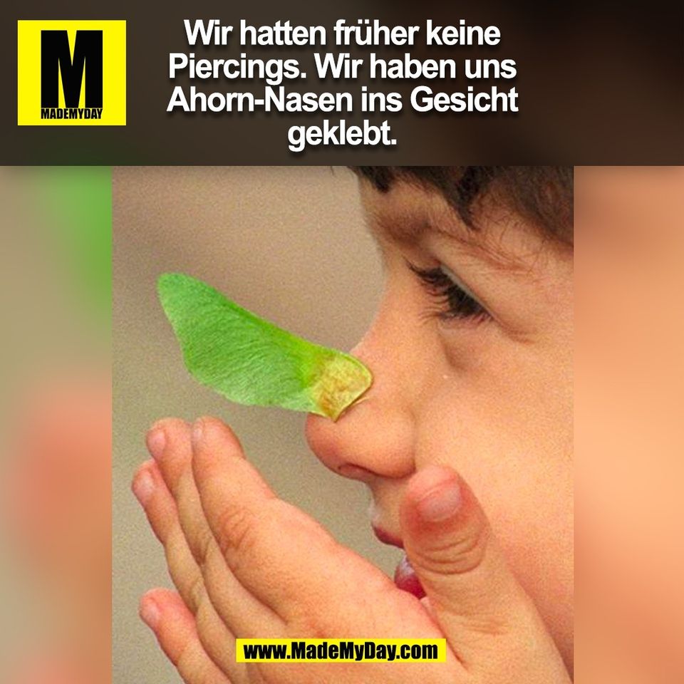 Wir hatten früher keine<br />
Piercings. Wir haben uns<br />
Ahorn-Nasen ins Gesicht<br />
geklebt.<br />
(BILD)