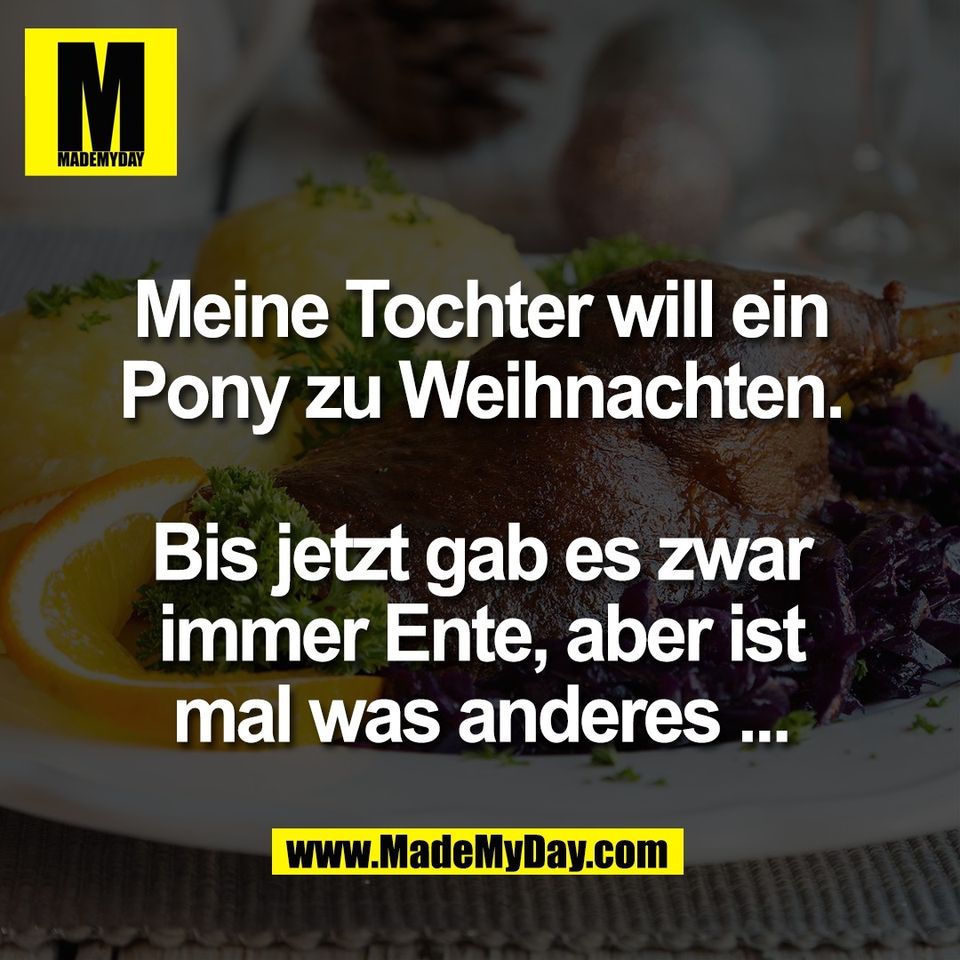 Meine Tochter will ein<br />
Pony zu Weihnachten.<br />
<br />
Bis jetzt gab es zwar<br />
immer Ente, aber ist<br />
mal was anderes ...
