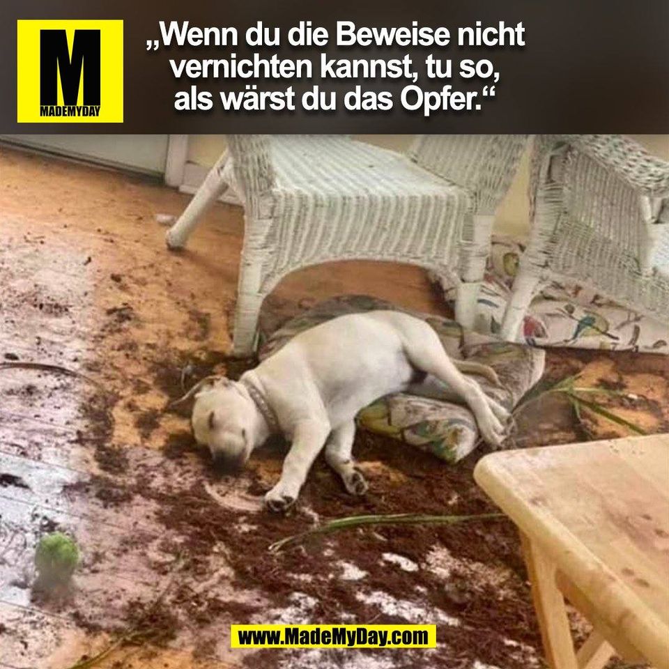 „Wenn du die Beweise nicht<br />
vernichten kannst, tu so,<br />
als wärst du das Opfer.“<br />
(BILD)