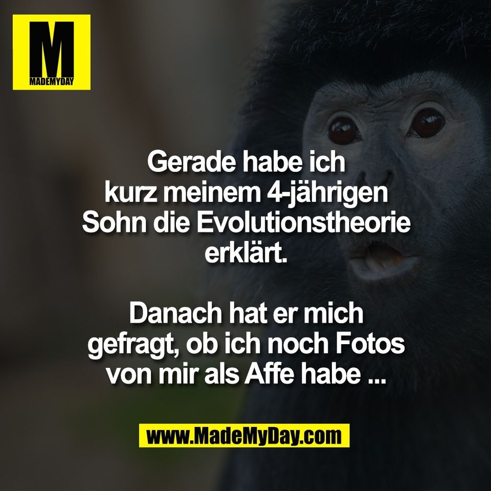 Gerade habe ich<br />
kurz meinem 4-jährigen<br />
Sohn die Evolutionstheorie<br />
erklärt.<br />
<br />
Danach hat er mich<br />
gefragt, ob ich noch Fotos<br />
von mir als Affe habe ...